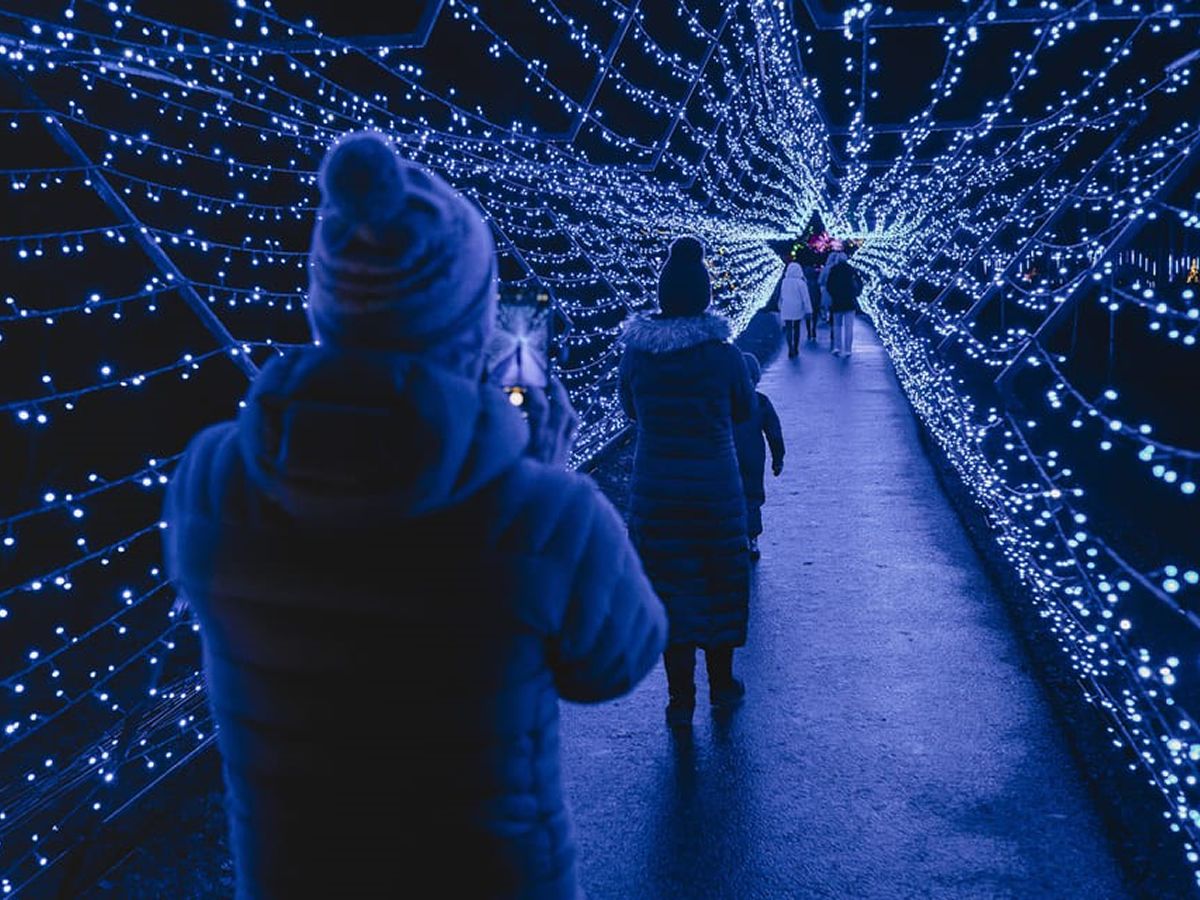 Twice the festive fun: Starry Nights Illuminated Christmas Experience makes highly anticipated return