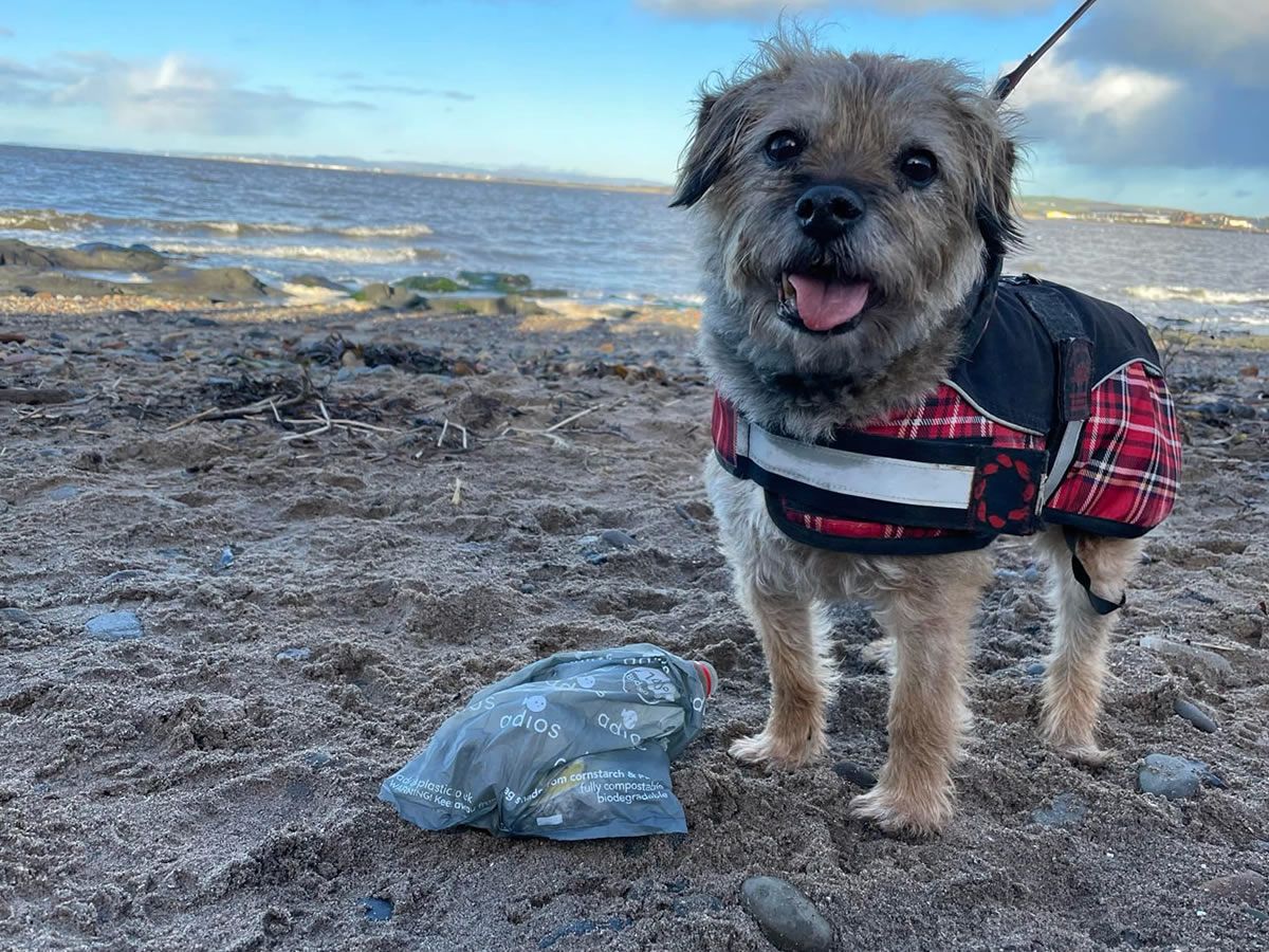 Pawsome New Year Resolutions remove over 39 million pieces of litter