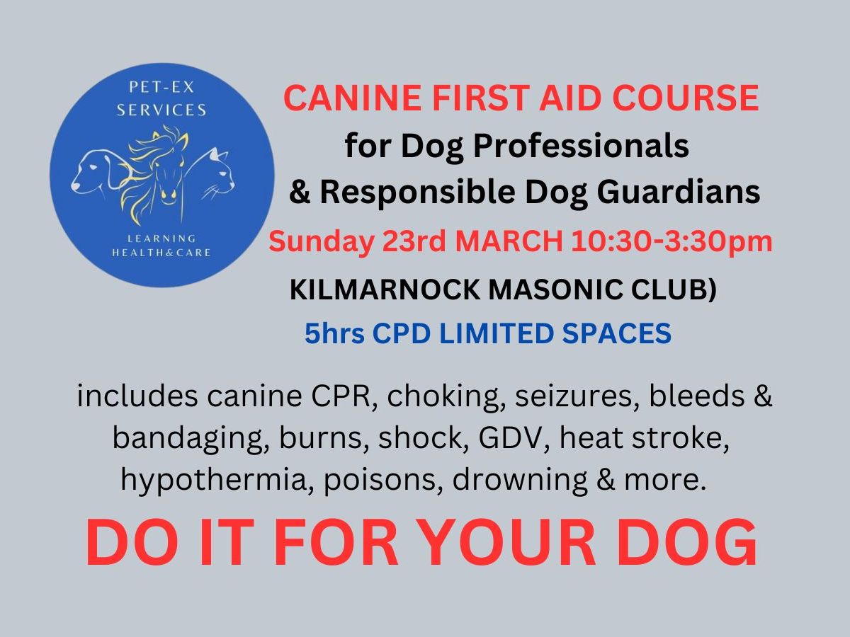 Kilmarnock Canine First Aid Course