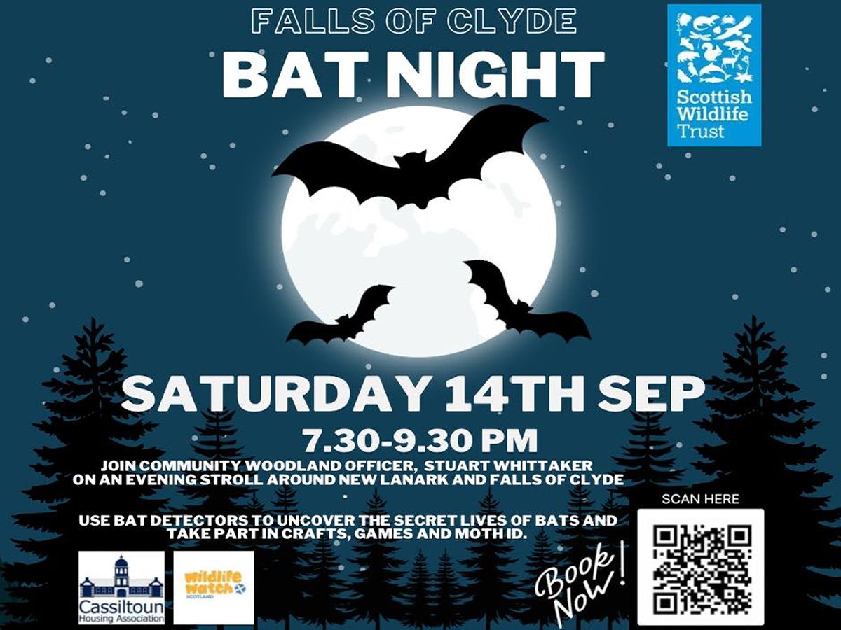 Bat Night