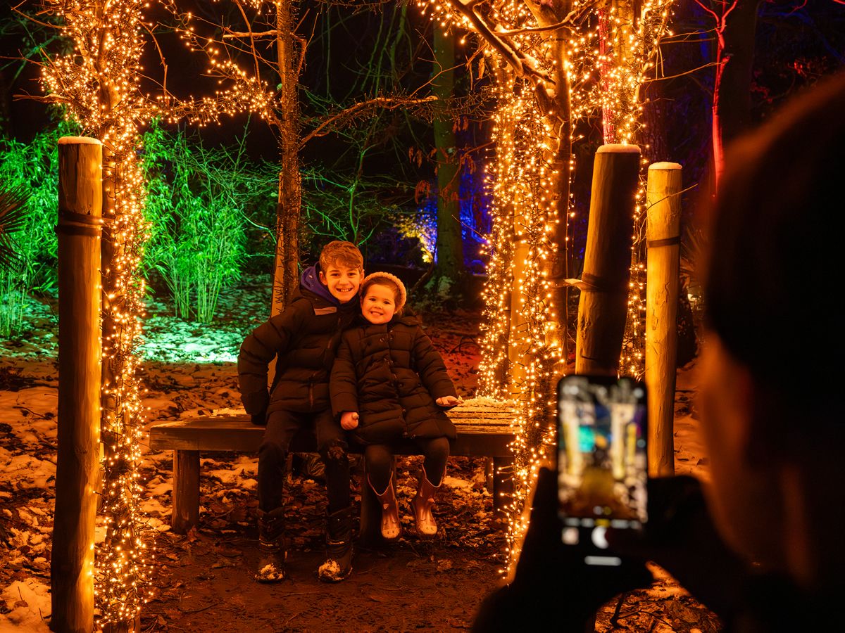 Scottish Borders winter light trail, Monteviot Lights, returns for a second year