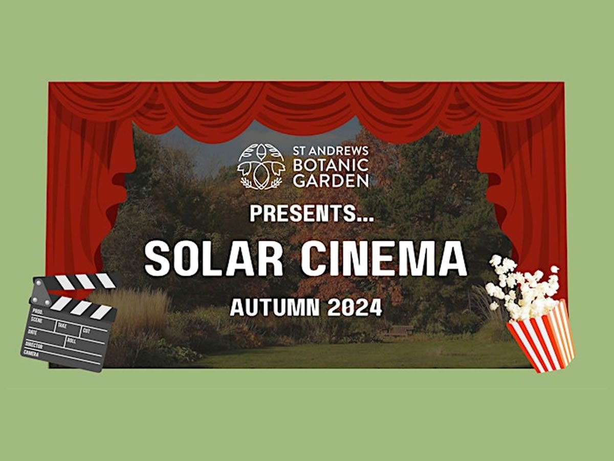 Solar Cinema Screenings