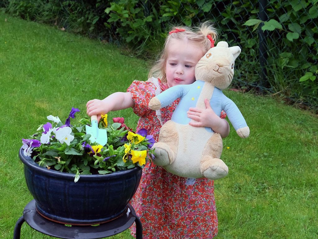 Have fun with Peter Rabbit at Cardwell Garden Centre | News | What's On