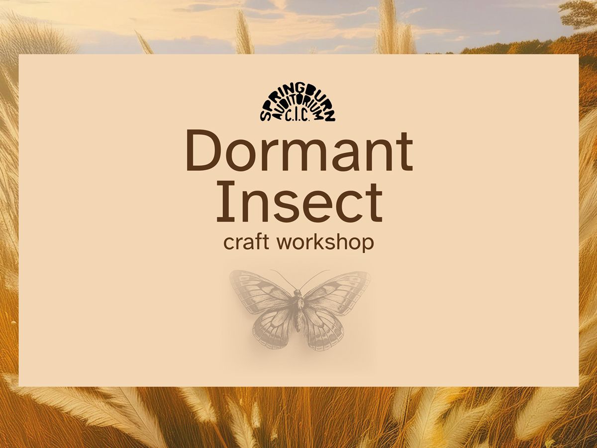 FREE Crafting: Dormant Insects (Adults & Teens)