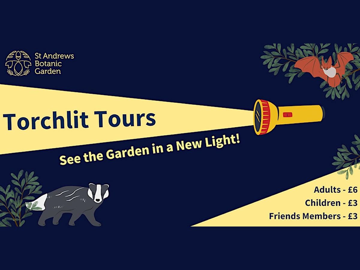 Torchlit Tours