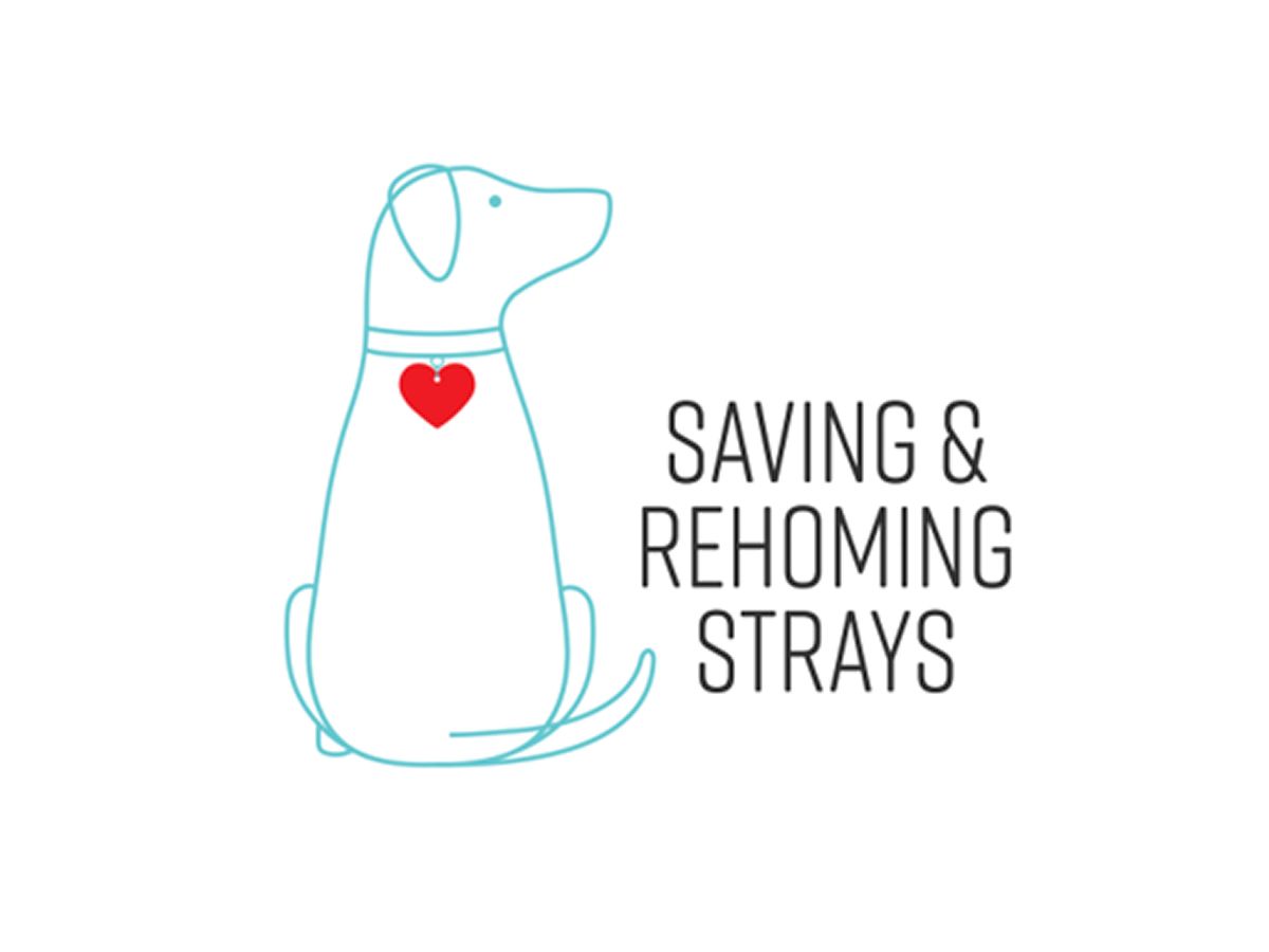 Saving and Rehoming Strays Maybole Charity Shop takeover