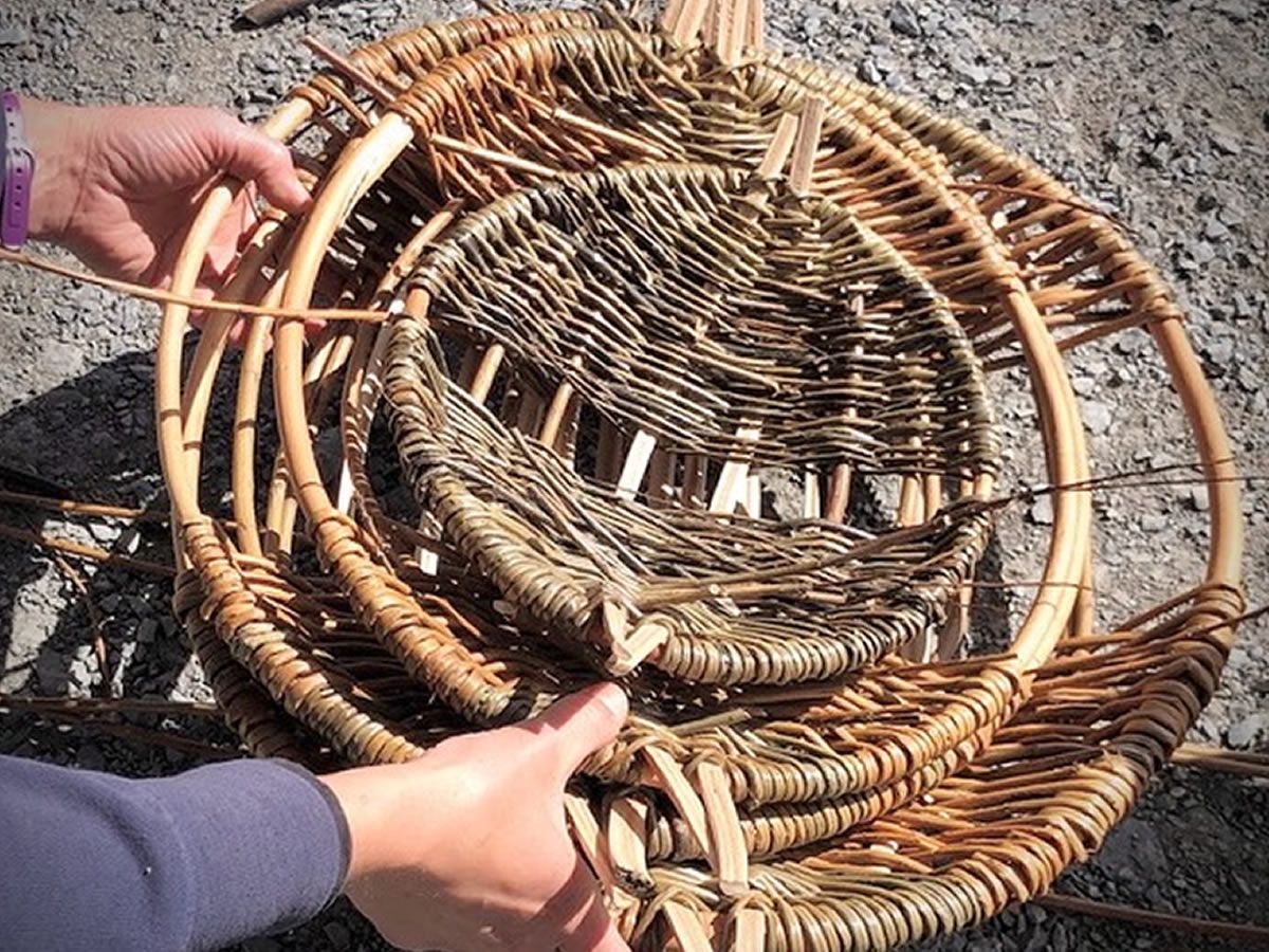 Beginners Willow Basketry