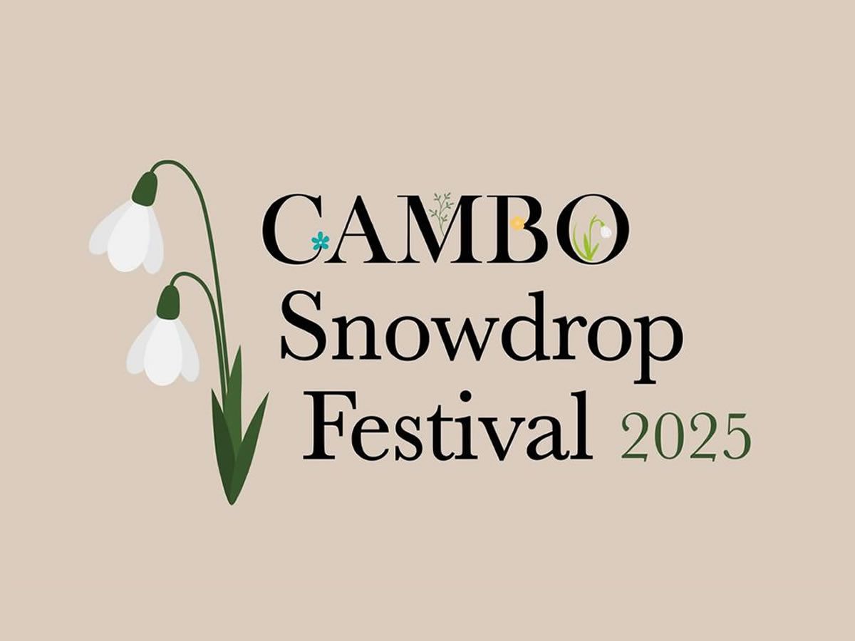 Cambo Snowdrop Festival