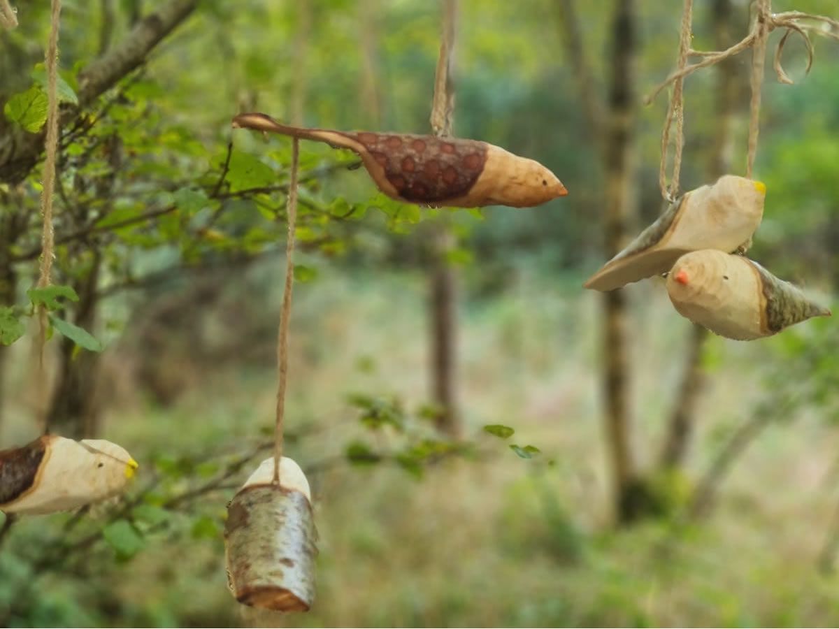 Wood Whittling - Bird sculpture for adults