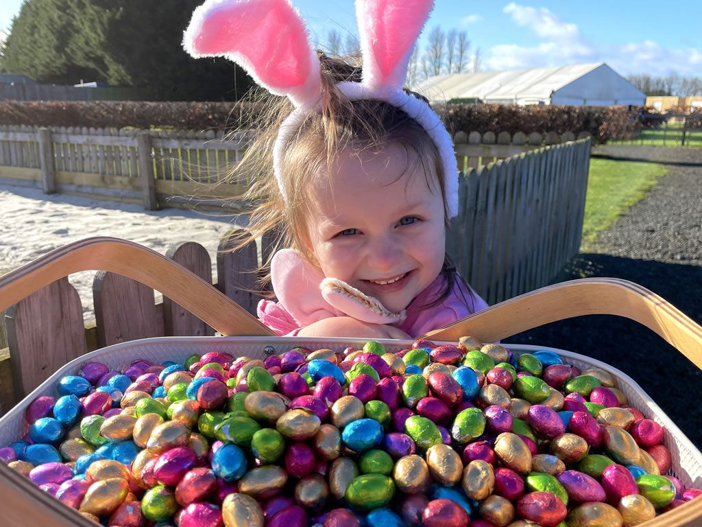 Conifox Easter Festival set to give away thousands of mini chocolate eggs