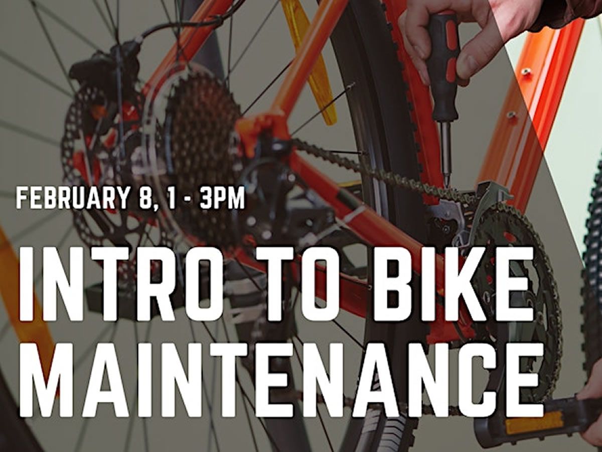 Introduction to Bicycle Maintenance