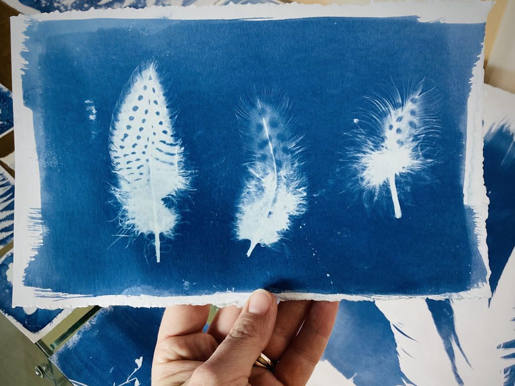 Cyanotype Printmaking