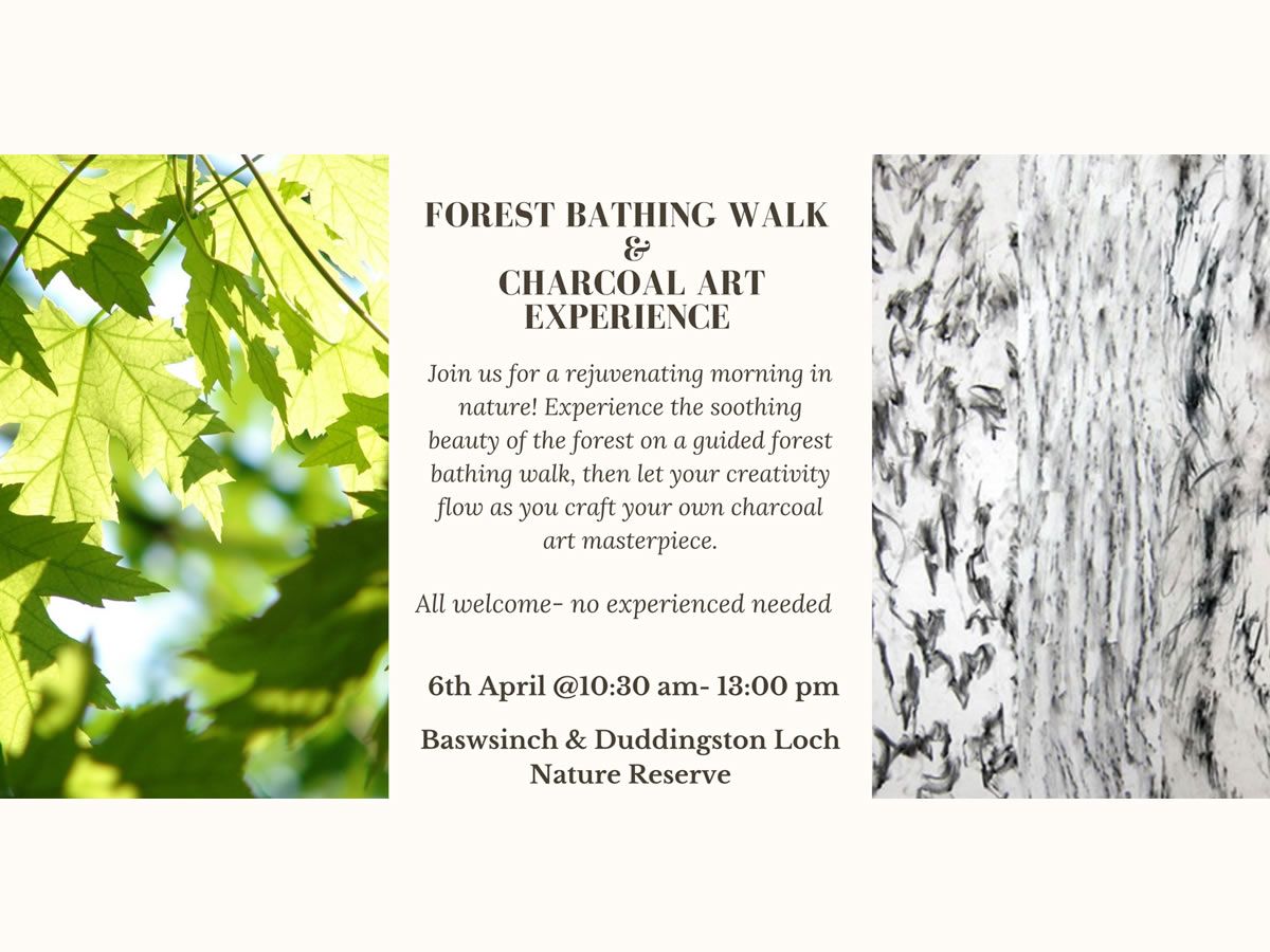 Spring Guided Forest Bathing Walk & Charcoal Art Experience