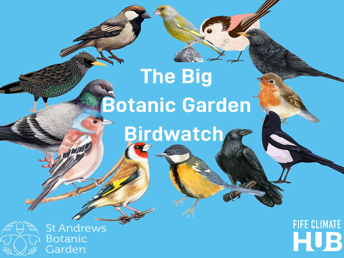 Big Botanic Garden Birdwatch