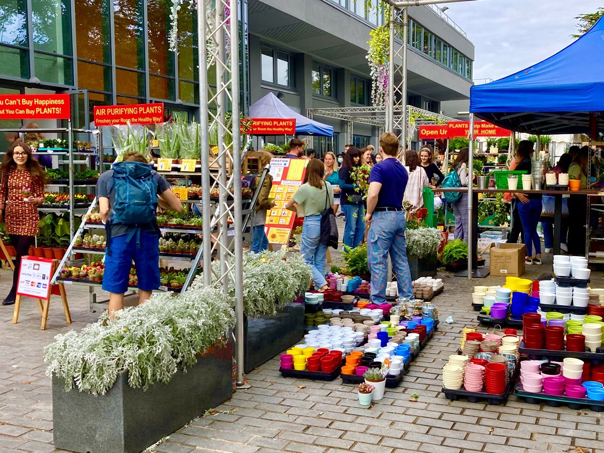 Houseplant Market - St Andrews