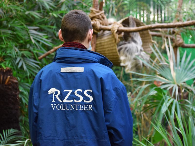 Edinburgh Zoo is looking for ROARsome volunteers