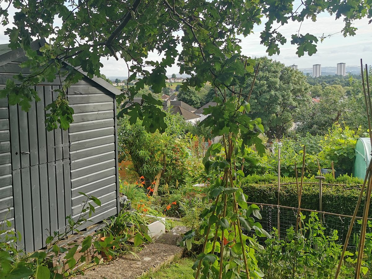 Trinley Brae Allotments Open Day