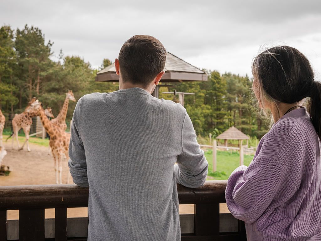 Universal credit discount for visitors to Edinburgh Zoo and Highland Wildlife Park