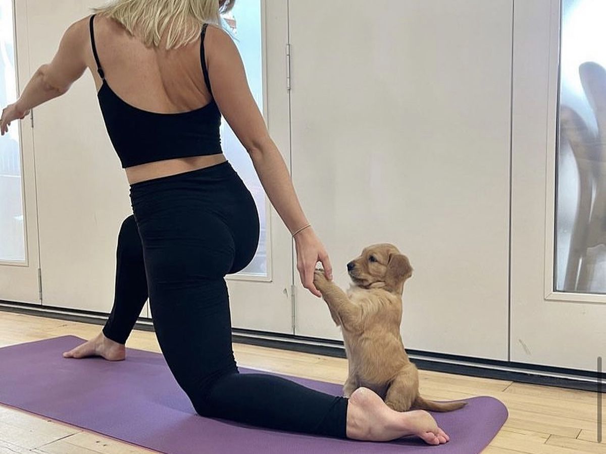 Puppy Yoga