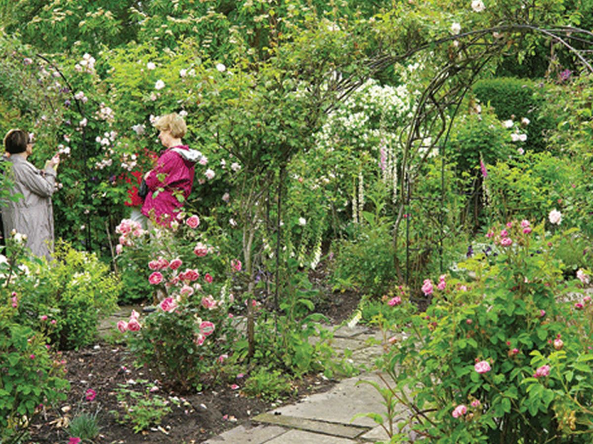 Scotland’s Gardens Scheme Open Garden: 46 South Street