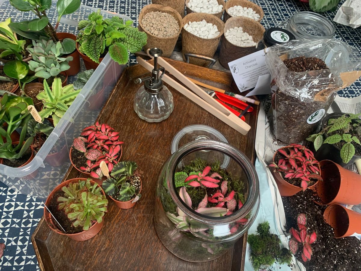 Bioactive Terrarium workshop - Valentines Day Special