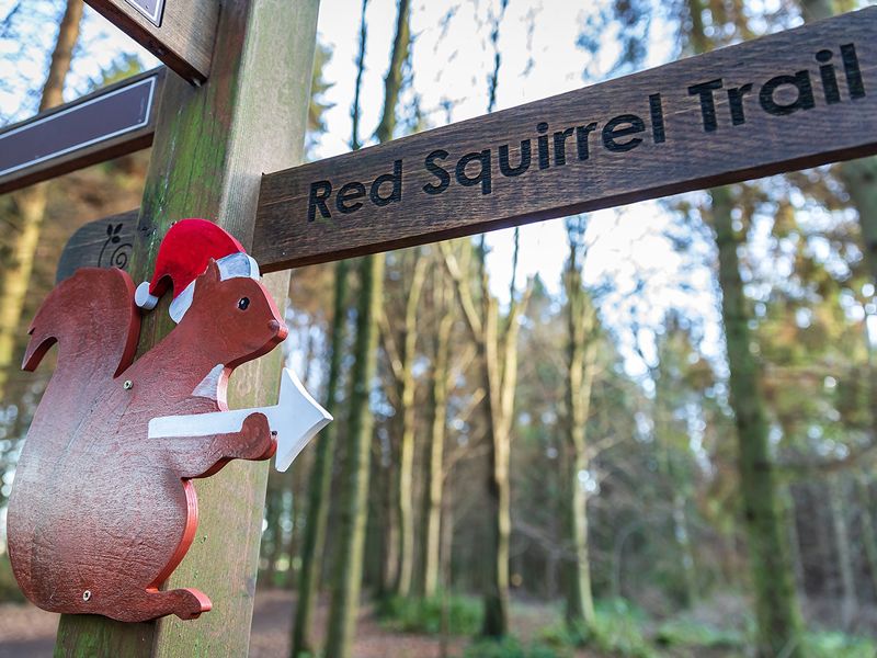 Falkland Estate Family Festive Trail