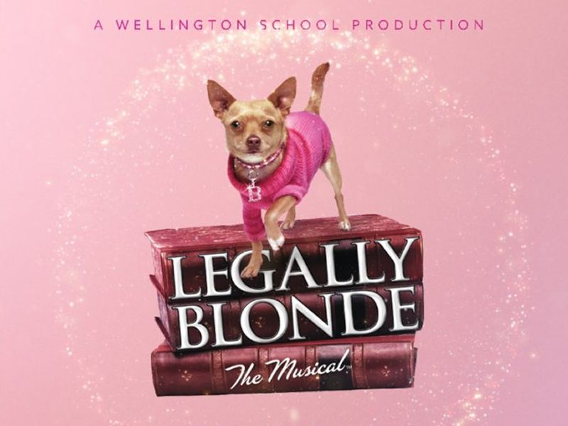 Legally Blonde The Musical