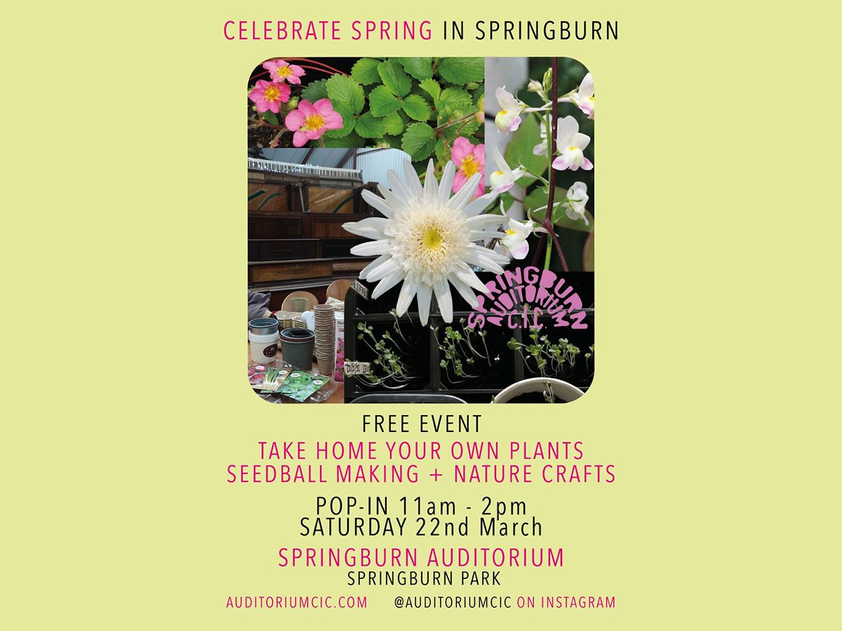 Celebrate Spring in Springburn: Free Planting Event