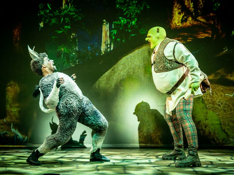 First look at the brand new production of Shrek The Musical