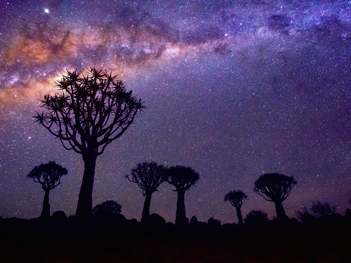 African Skies