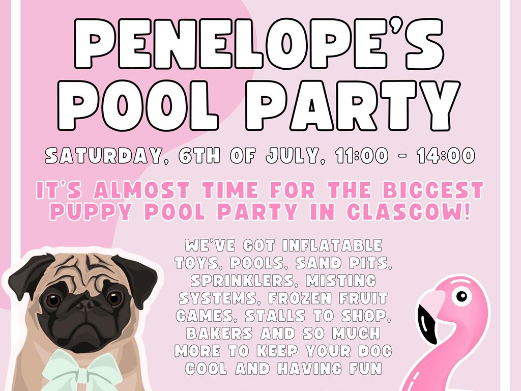 Penelope’s Summer Pool Party