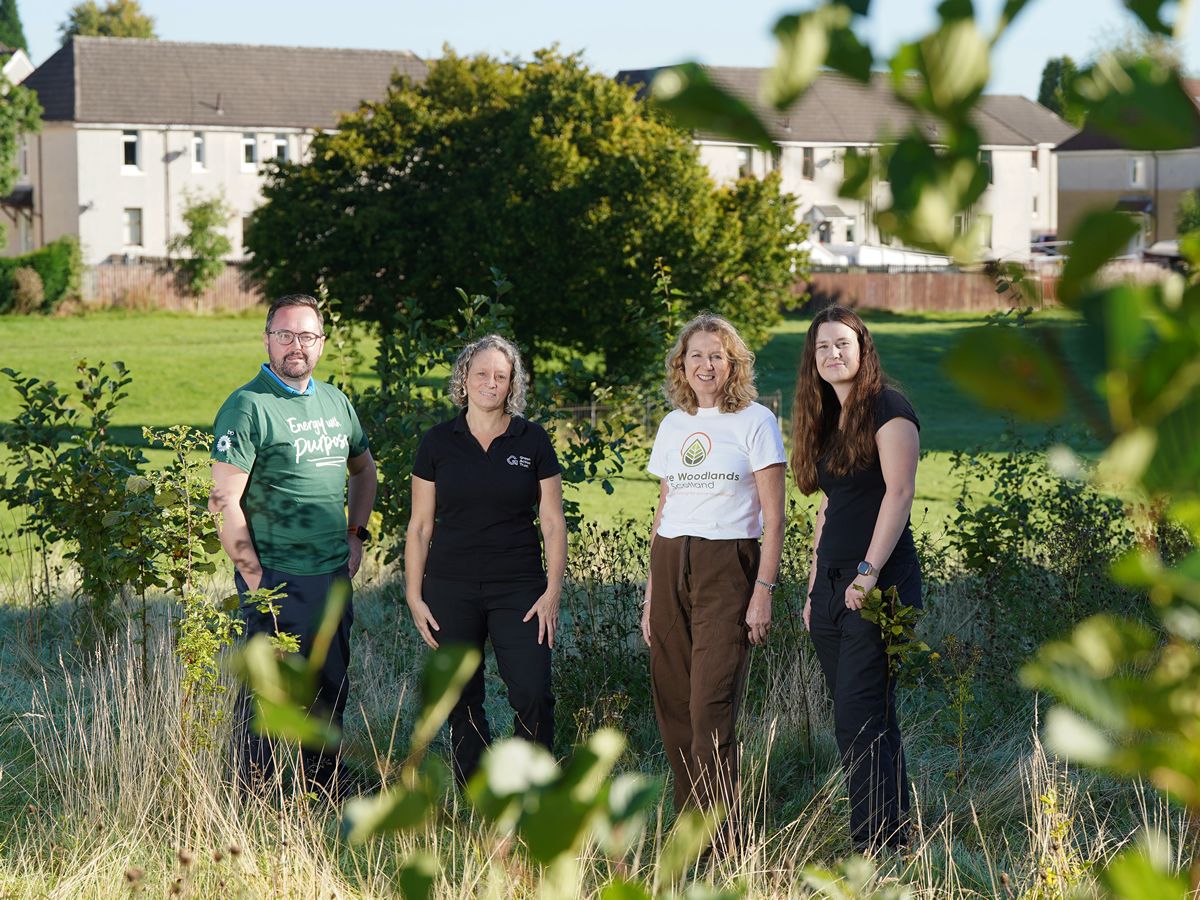 Community groups, local authorities, charities and schools urged to apply for funding to add trees in urban areas