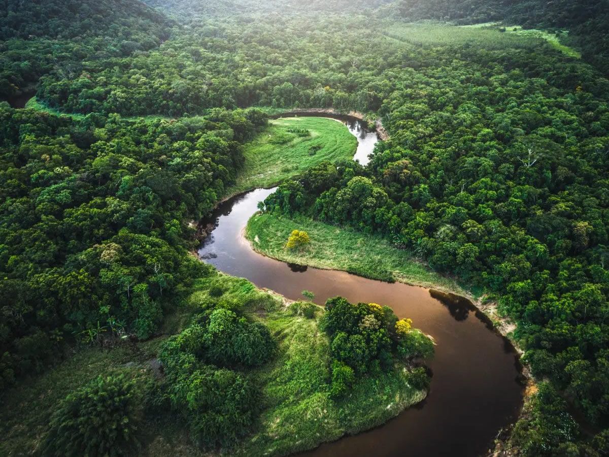 Edinburgh Science Festival: Rainforest Adventure