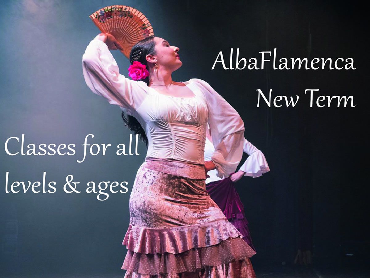 Flamenco Dance Class Programme