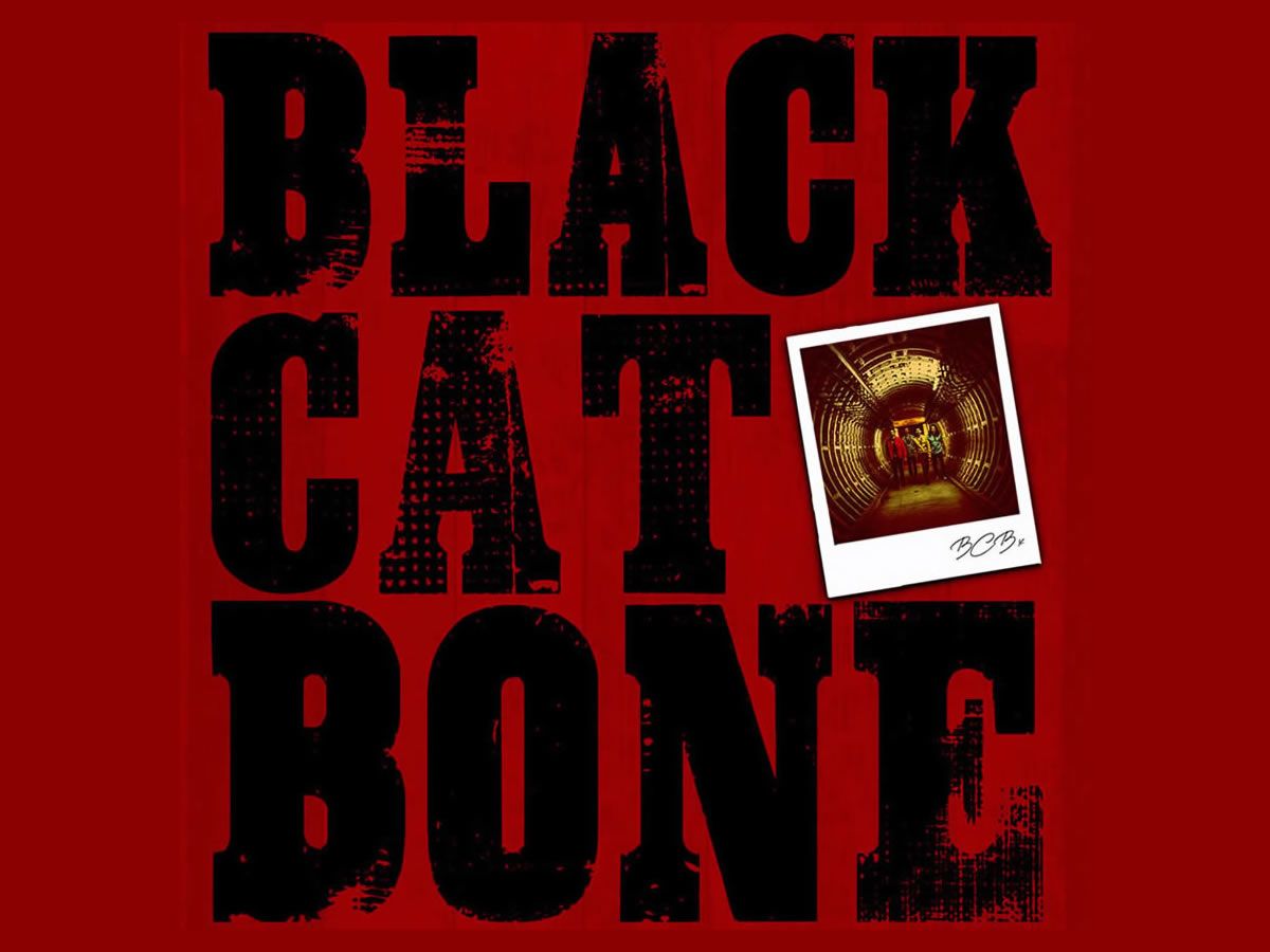 Black Cat Bone plus support