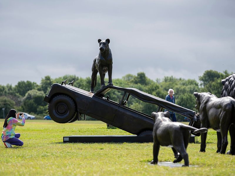 A Safari for Survival as Born Free brings Pride of life size Lions to Edinburgh