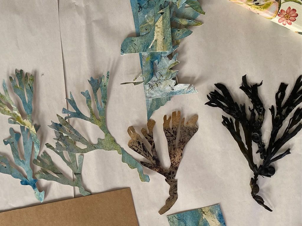 Seaweed Craft Workshop