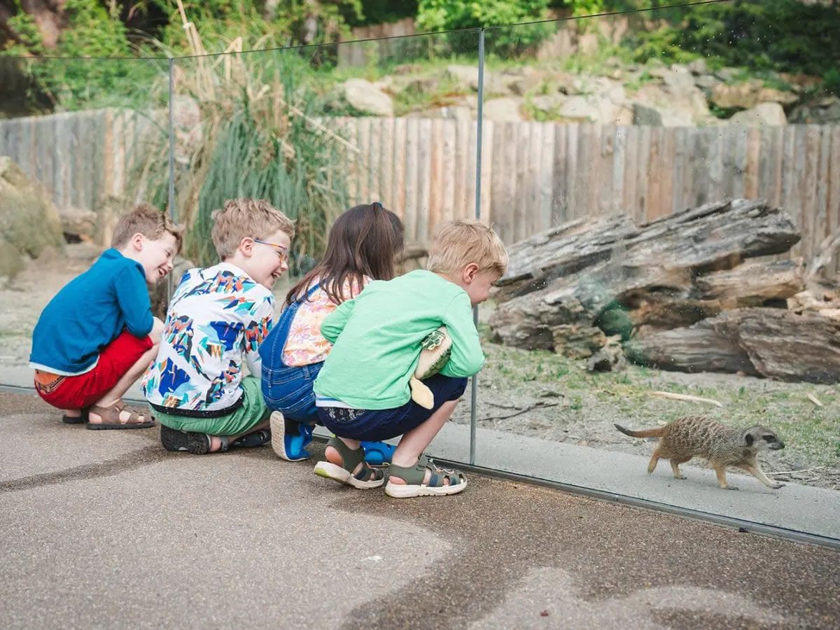 Edinburgh Science Festival: Spring Explorers