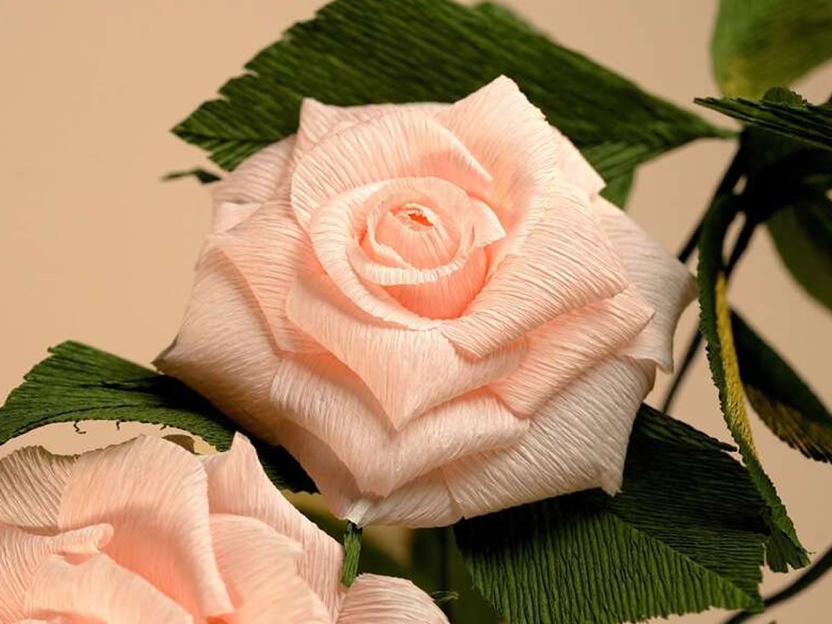 Paper Flower Making: Roses