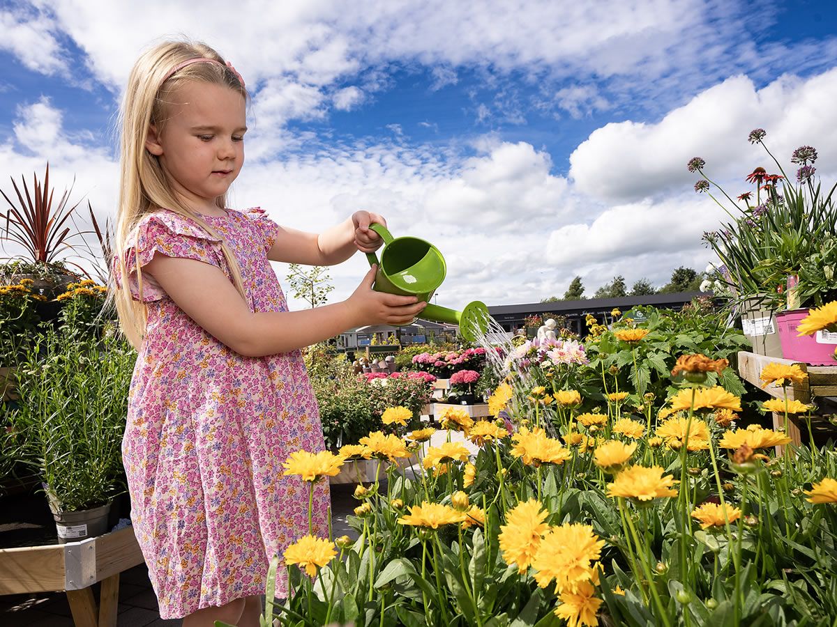 Dobbies free February workshops