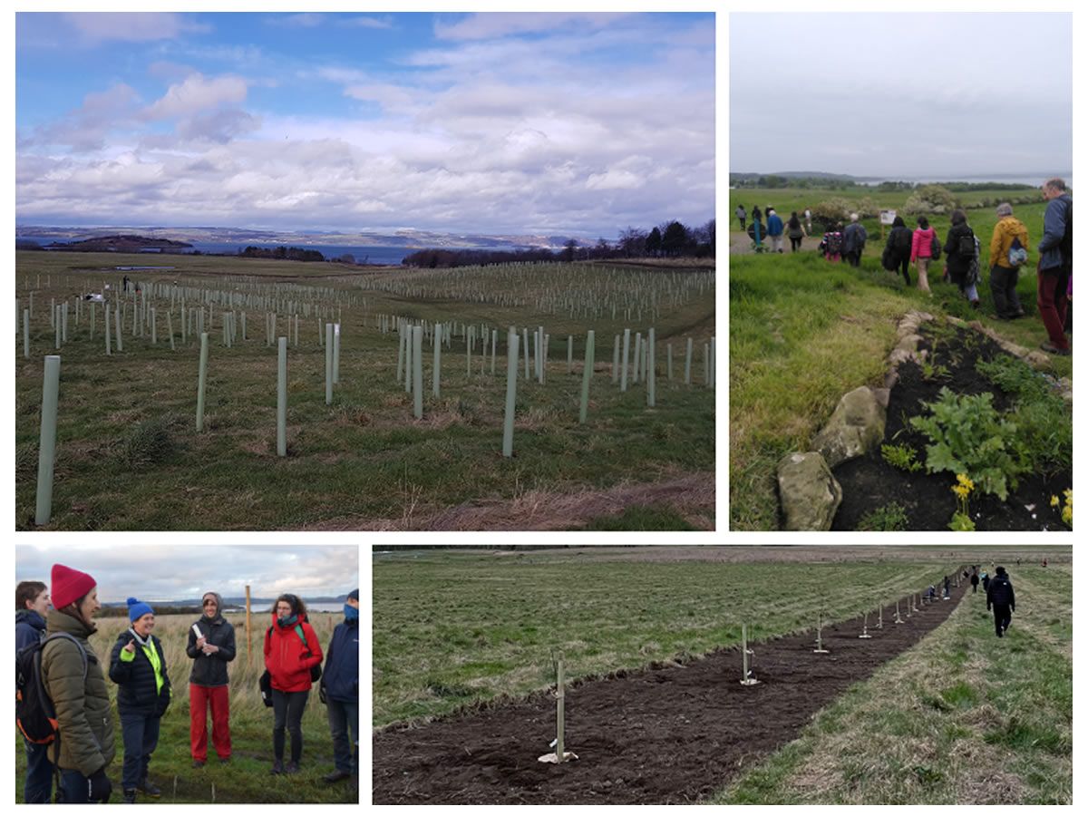 Lauriston Farm Tour of the Trees