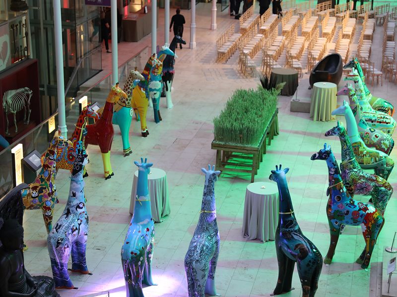 Edinburgh Zoo raises thousands for wildlife conservation at Giraffe About Town auction