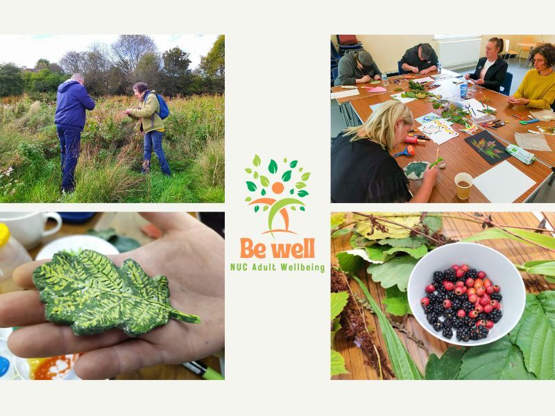 Be Well - Wellbeing Nature and Arts and Crafts Group for Adults