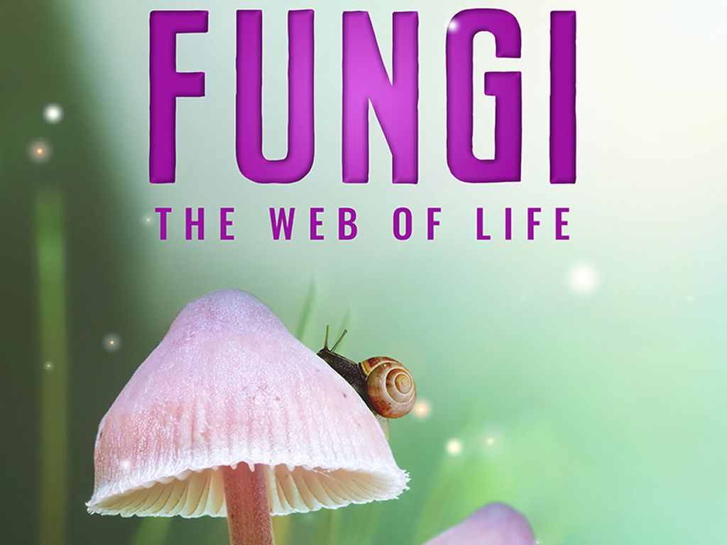 Fungi: Web of Life 3D at Glasgow Science Centre, Glasgow South Side ...