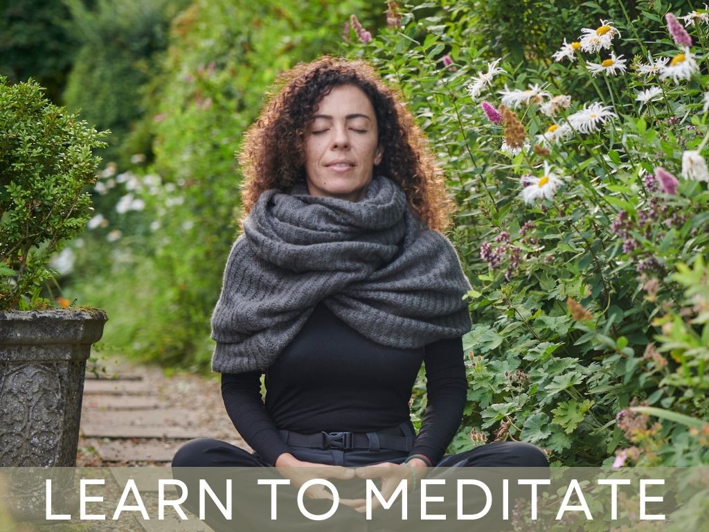 Learn to Meditate Workshop