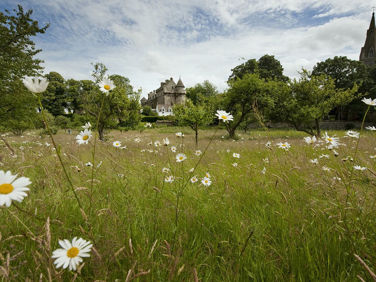 Fall into Autumn Celebrations at  Apple events across Scotland