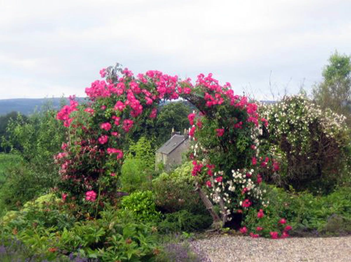 Scotland’s Gardens Scheme Open Garden: Gartmore Village