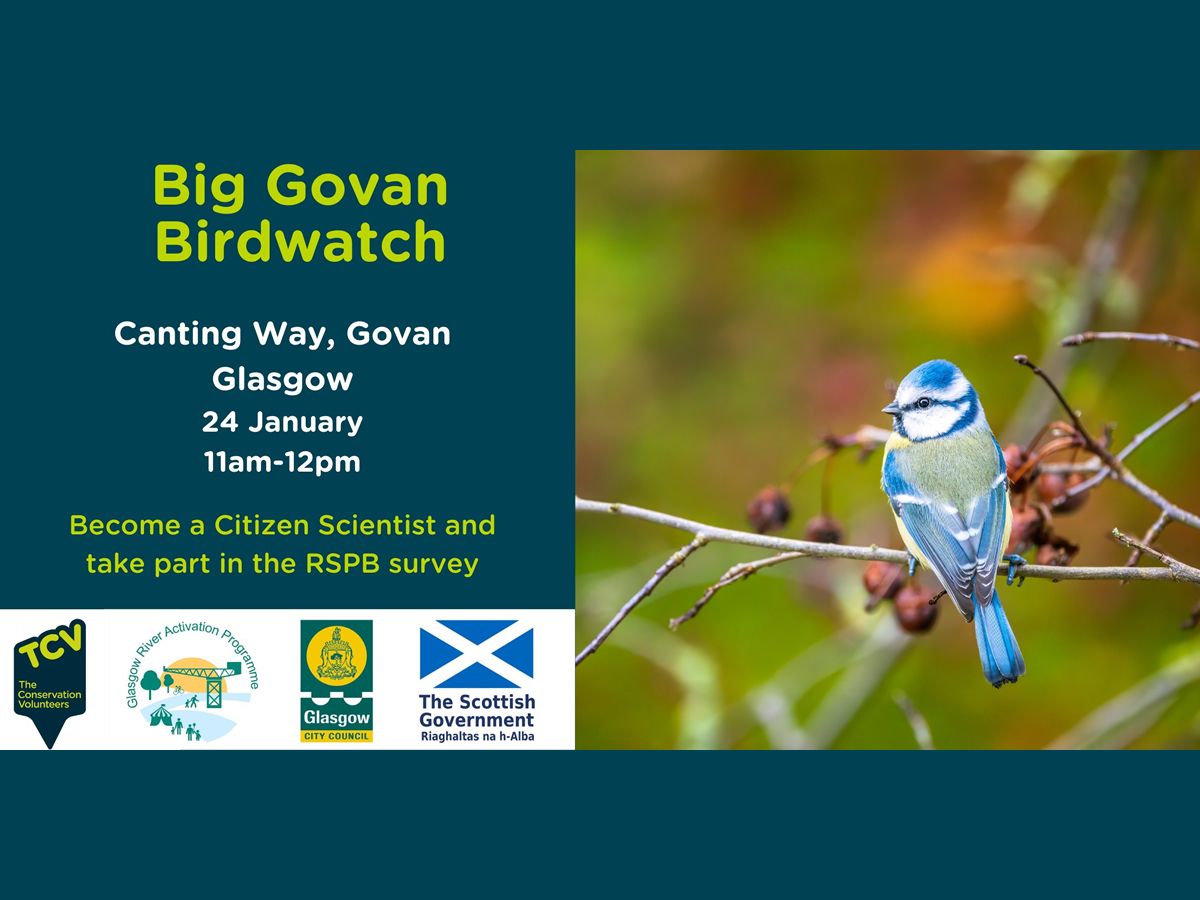 Big Govan Birdwatch