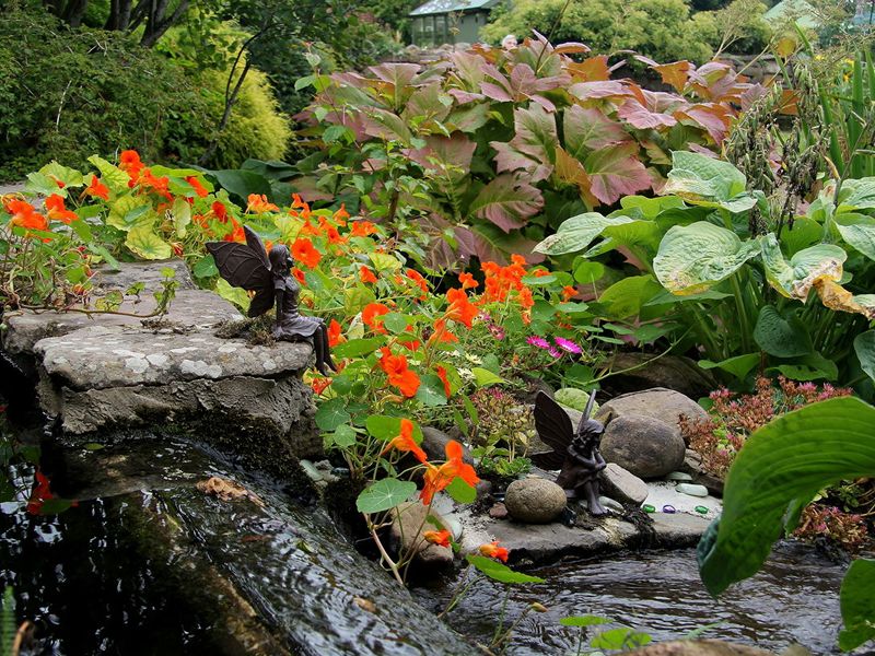 Scotland’s Gardens Scheme Open Garden: Old Farm Cottage