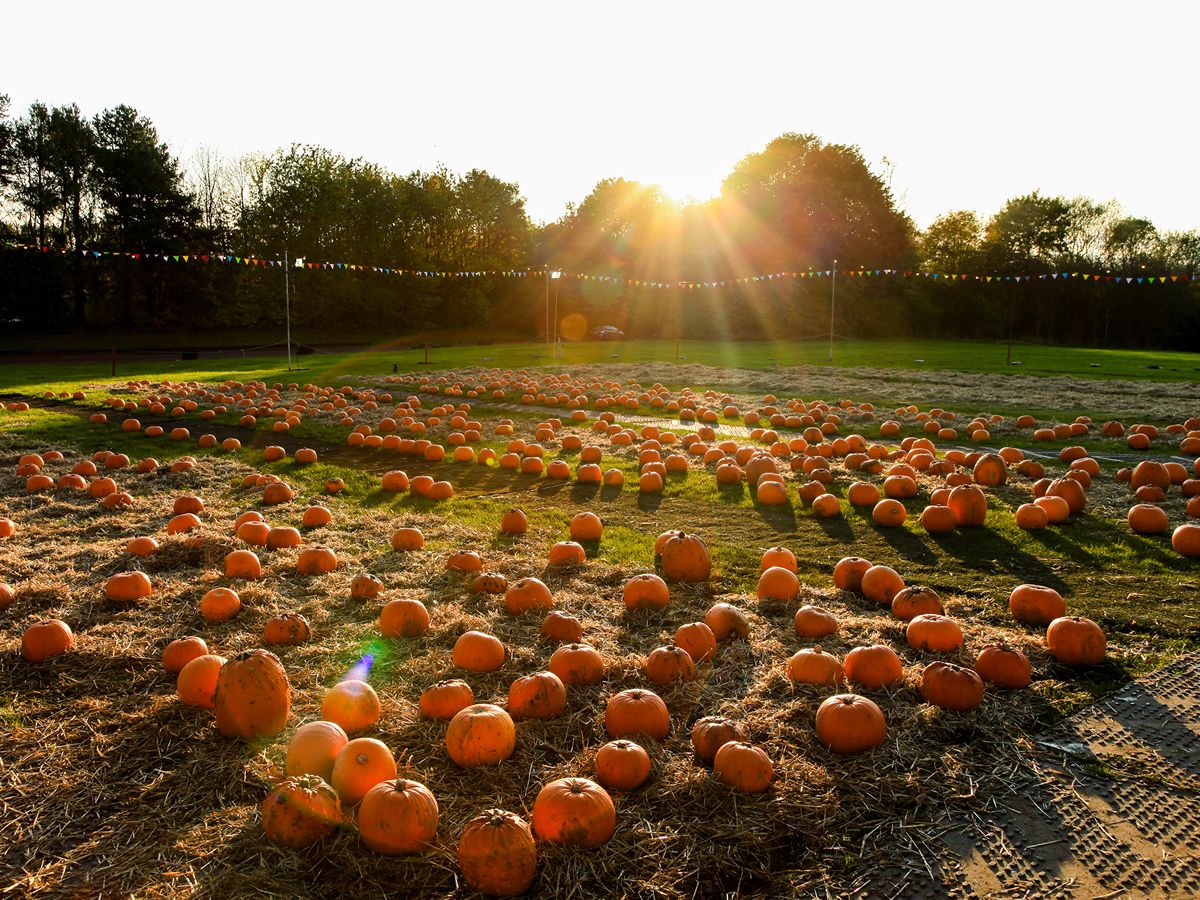 October family days out at M&Ds